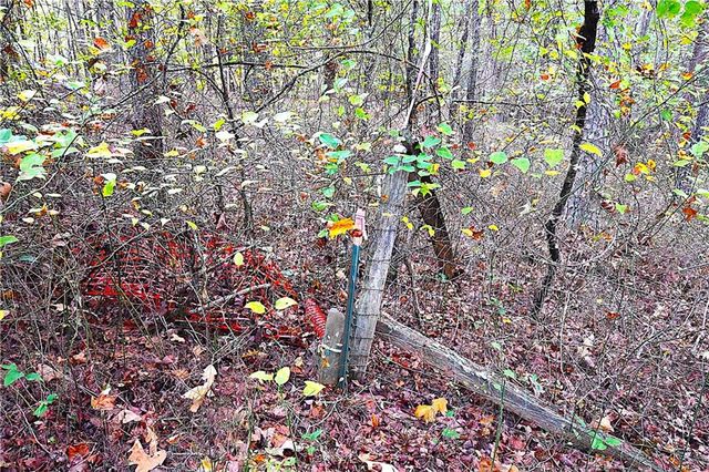 00001 Poplar Springs Road, Buchanan, GA 30113