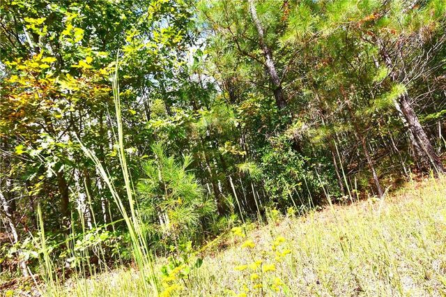 00001 Poplar Springs Road, Buchanan, GA 30113