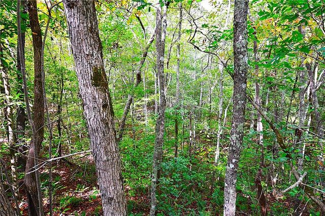 00001 Poplar Springs Road, Buchanan, GA 30113