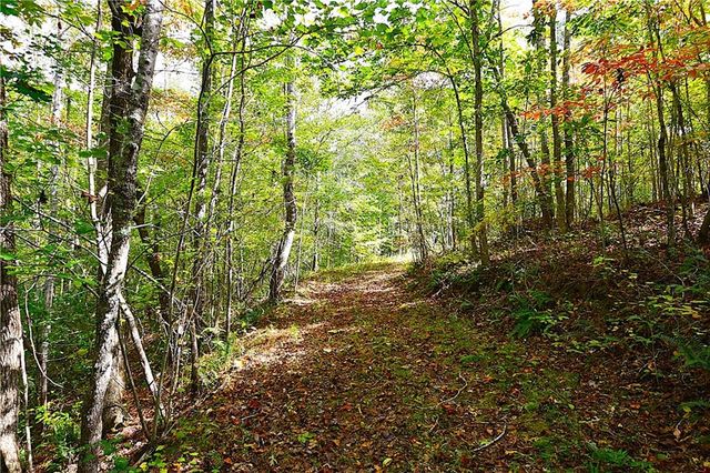 00001 Poplar Springs Road, Buchanan, GA 30113