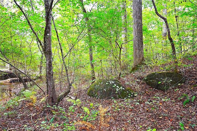 00001 Poplar Springs Road, Buchanan, GA 30113