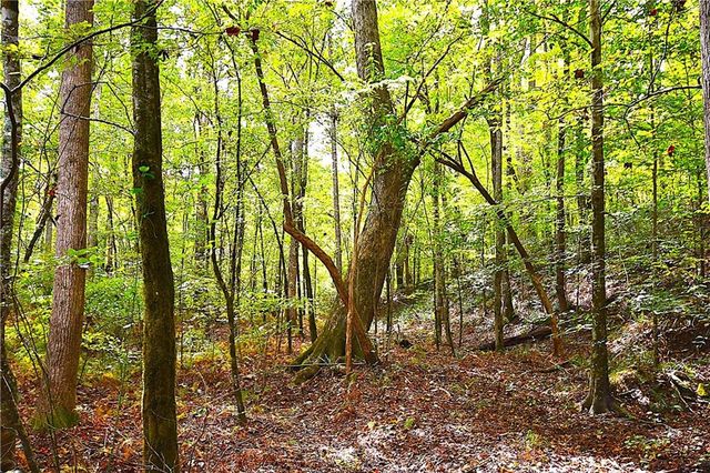 00001 Poplar Springs Road, Buchanan, GA 30113