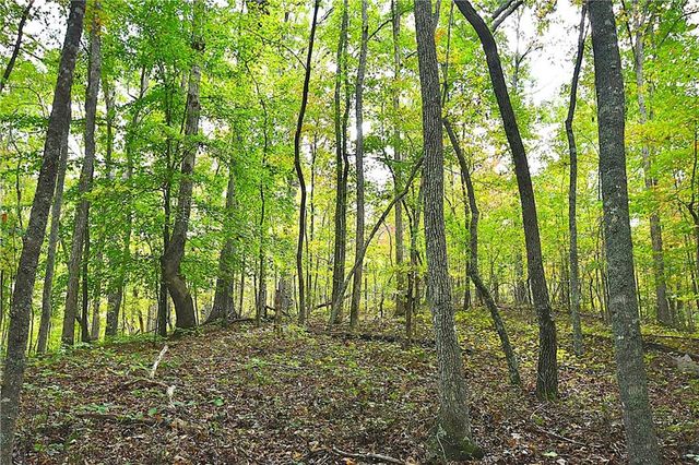 00001 Poplar Springs Road, Buchanan, GA 30113