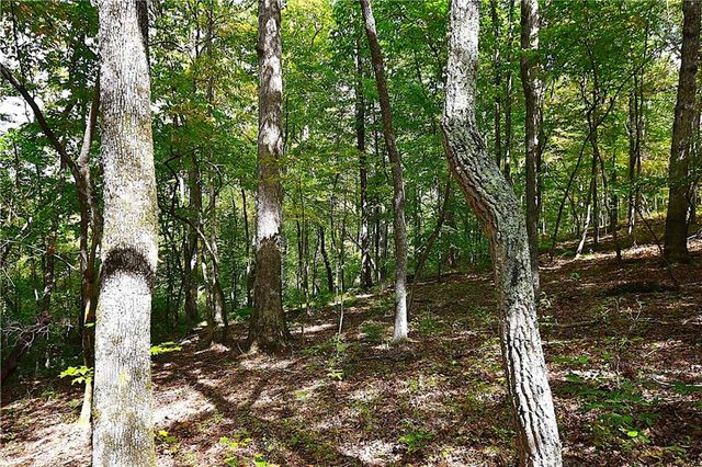 00001 Poplar Springs Road, Buchanan, GA 30113