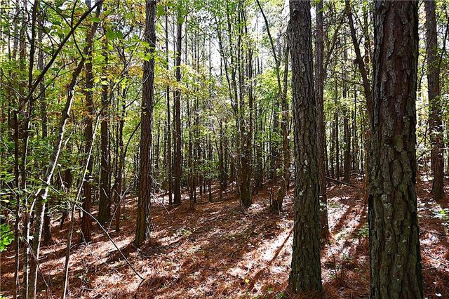 00001 Poplar Springs Road, Buchanan, GA 30113