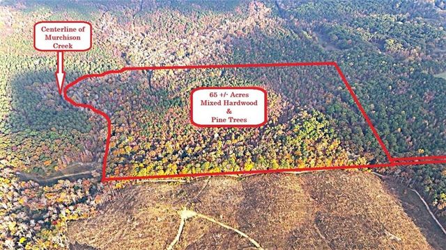 00001 Poplar Springs Road, Buchanan, GA 30113