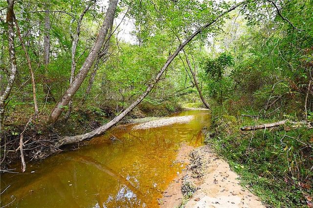 00001 Poplar Springs Road, Buchanan, GA 30113