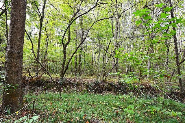 00001 Poplar Springs Road, Buchanan, GA 30113