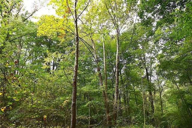 00001 Poplar Springs Road, Buchanan, GA 30113