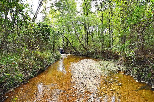 00001 Poplar Springs Road, Buchanan, GA 30113