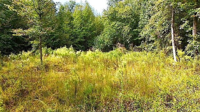 00001 Poplar Springs Road, Buchanan, GA 30113