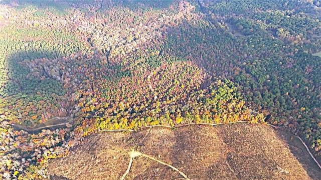 00001 Poplar Springs Road, Buchanan, GA 30113