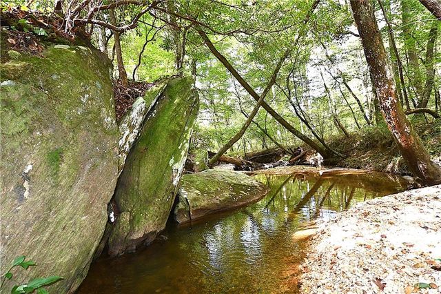 00001 Poplar Springs Road, Buchanan, GA 30113