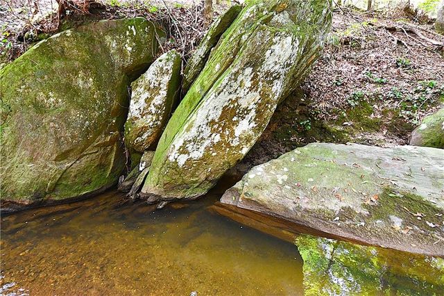 00001 Poplar Springs Road, Buchanan, GA 30113