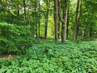 Rambler Road, Carmel, NY 10512