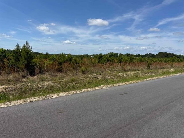 4782 Grainger Circle, Green Sea, SC 29545