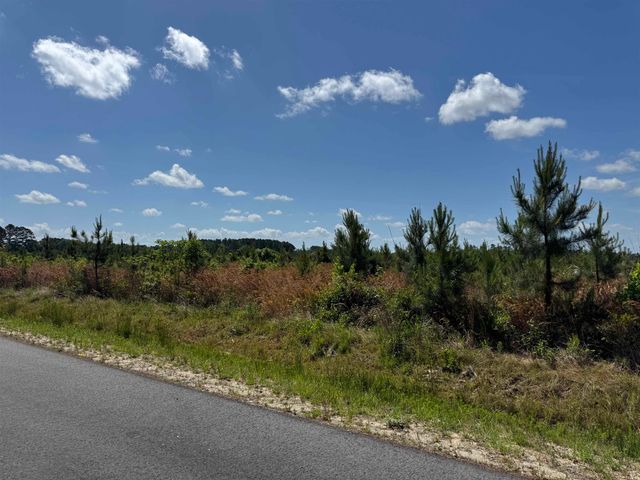 4782 Grainger Circle, Green Sea, SC 29545