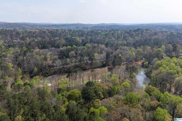 3137 CHESTNUT OAKS DRIVE, Hoover, AL 35244