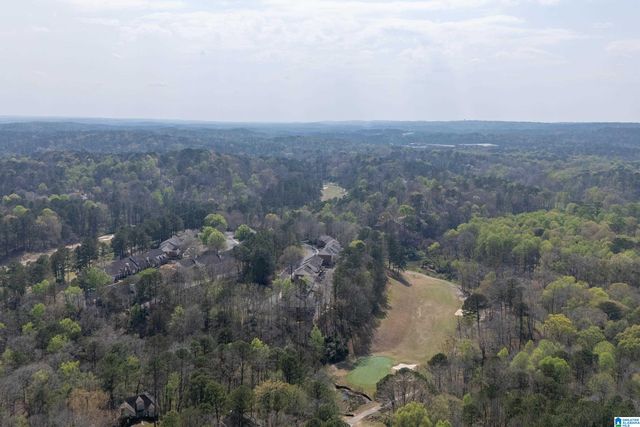 3137 CHESTNUT OAKS DRIVE, Hoover, AL 35244