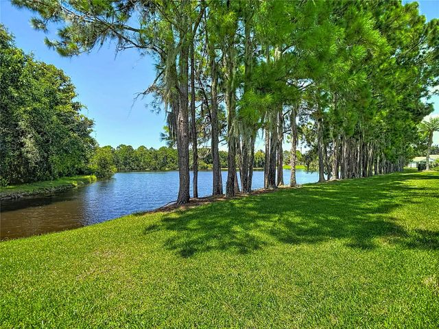 1535 MORNING ROSE PLACE, Trinity, FL 34655
