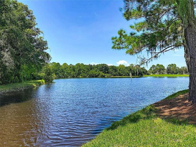 1535 MORNING ROSE PLACE, Trinity, FL 34655