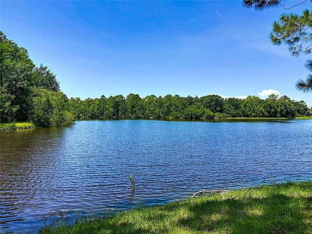 1535 MORNING ROSE PLACE, Trinity, FL 34655