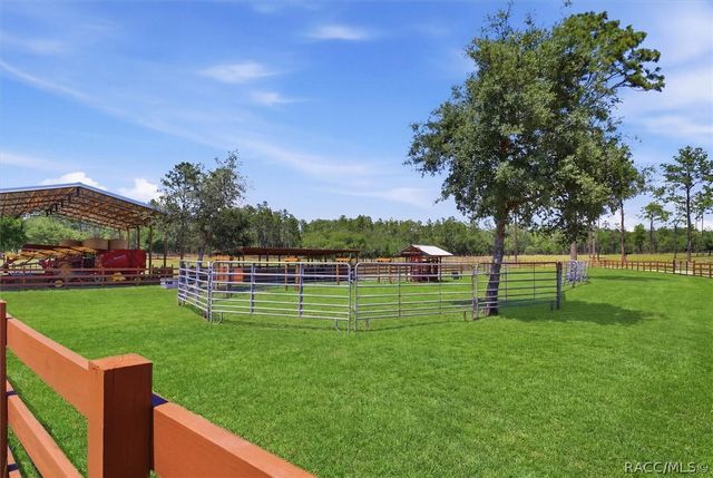 9560 N Parkwood Avenue, Dunnellon, FL 34433