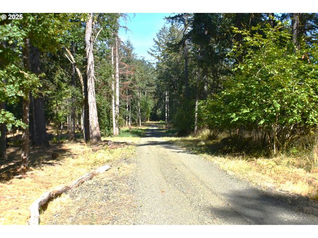 Lakeshore Lot 3, Veneta, OR 97487