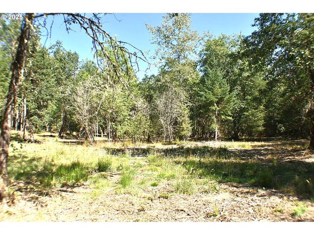 Lakeshore Lot 3, Veneta, OR 97487