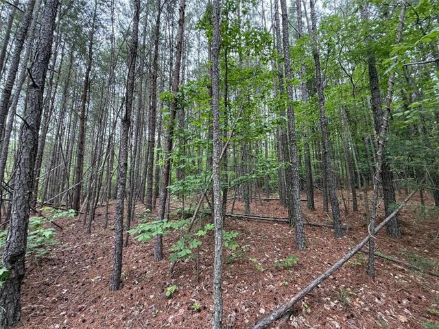 0 Natures Walk Drive, Rome, GA 30165