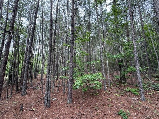 0 Natures Walk Drive, Rome, GA 30165