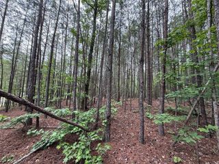 0 Natures Walk Drive, Rome, GA 30165
