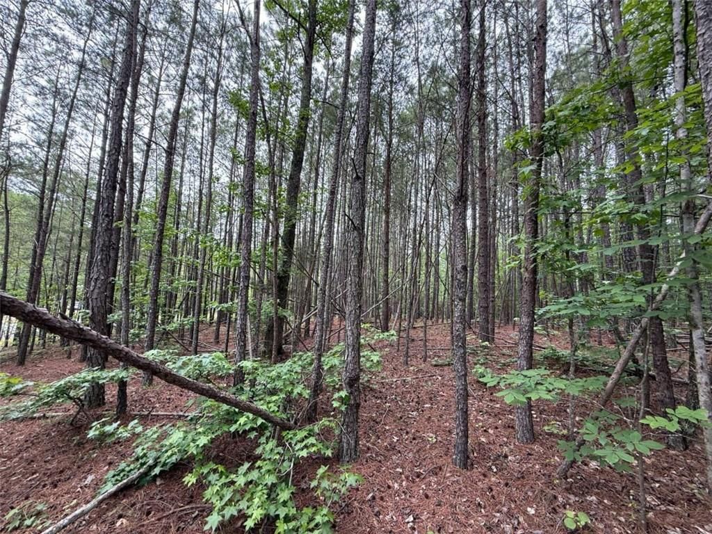 0 Natures Walk Drive, Rome, GA 30165