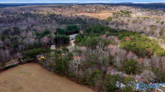 158 Road 944, Mentone, AL 35984