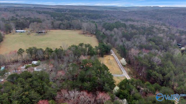 158 Road 944, Mentone, AL 35984