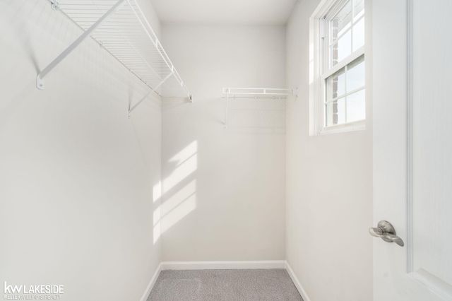 324 Strawberry Drive, Rochester, MI 48307