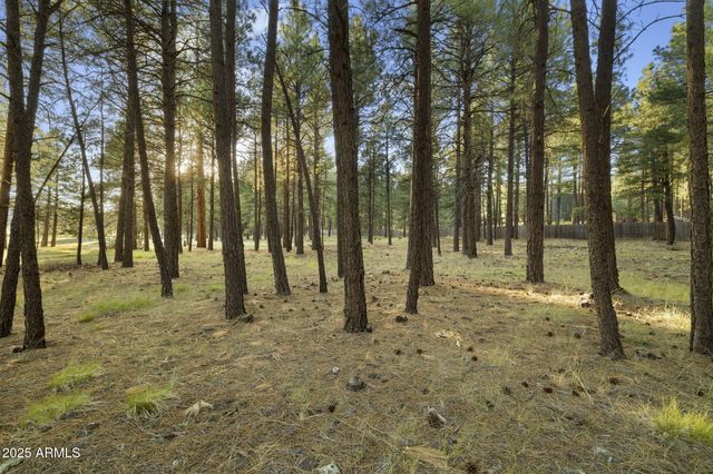 277 E Foxboro Ranch Road 6, Munds Park, AZ 86017