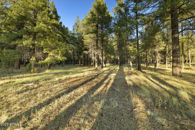 277 E Foxboro Ranch Road 6, Munds Park, AZ 86017