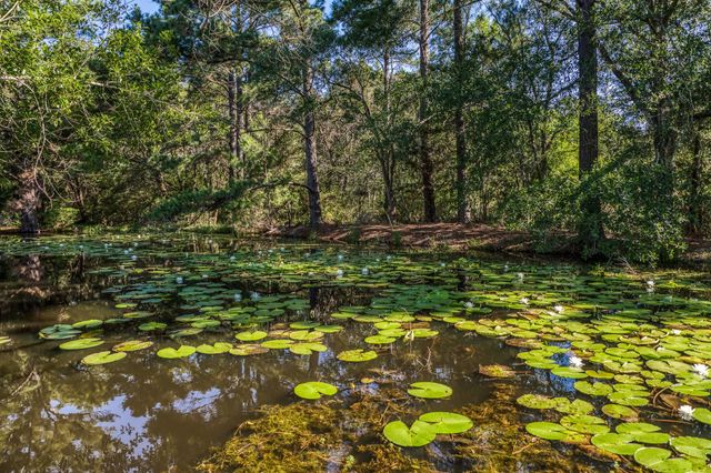 1017 Allen Road, Cat Spring, TX 78933