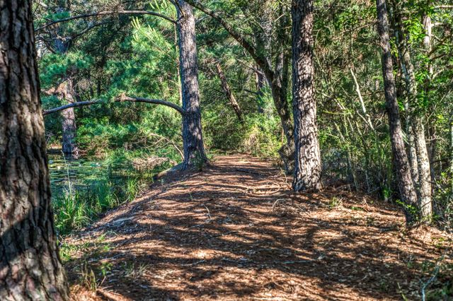 1017 Allen Road, Cat Spring, TX 78933