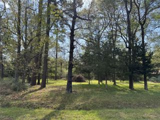 TBD Lake Livingston Boulevard, Livingston, TX 77351