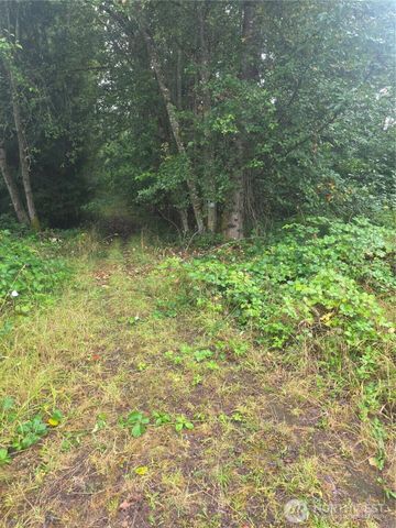 515 Remington Drive, South Prairie, WA 98385