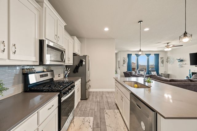 160 Tanager Drive, Rhome, TX 76078
