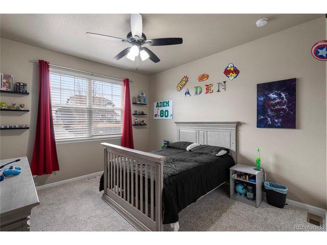 11575 E 162nd Dr, Brighton, CO 80602