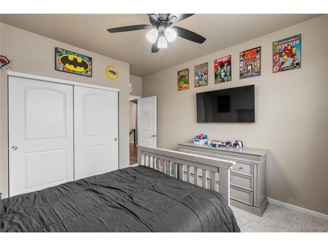 11575 E 162nd Dr, Brighton, CO 80602