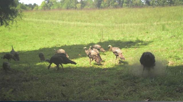 12195 Hwy 587, Beattyville, KY 41311