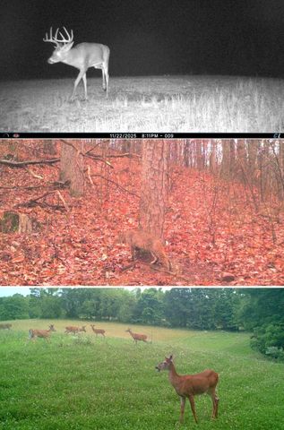 12195 Hwy 587, Beattyville, KY 41311