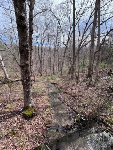 12195 Hwy 587, Beattyville, KY 41311
