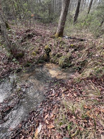 12195 Hwy 587, Beattyville, KY 41311