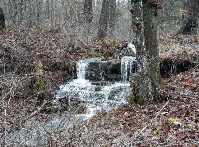 12195 Hwy 587, Beattyville, KY 41311